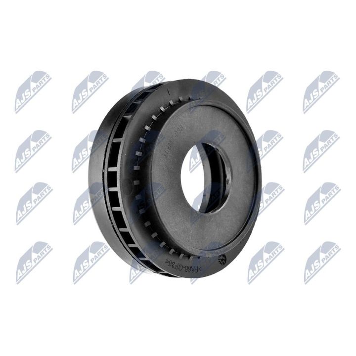 Frikcinis guolis, pakabos statramsčio atramos montavimas NTY AD-MZ-038