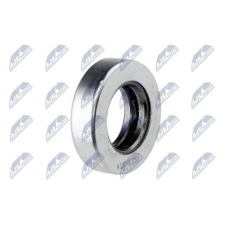 Frikcinis guolis, pakabos statramsčio atramos montavimas NTY AD-NS-054