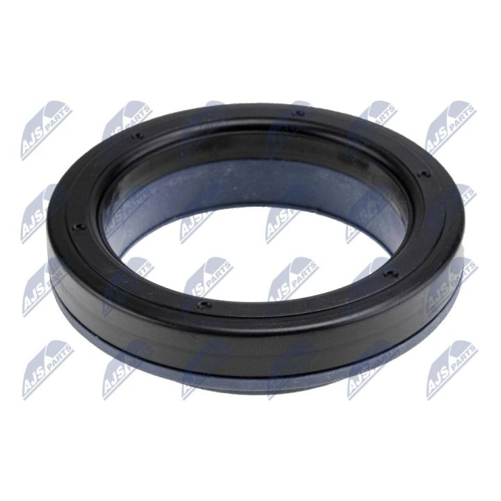 Frikcinis guolis, pakabos statramsčio atramos montavimas NTY AD-NS-059