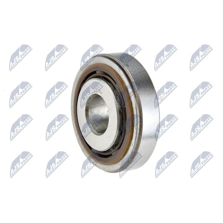 Frikcinis guolis, pakabos statramsčio atramos montavimas NTY AD-PL-001