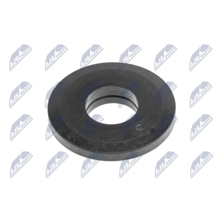 Frikcinis guolis, pakabos statramsčio atramos montavimas NTY AD-SU-001