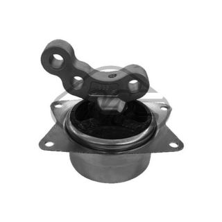 Variklio montavimas Metalcaucho 01019