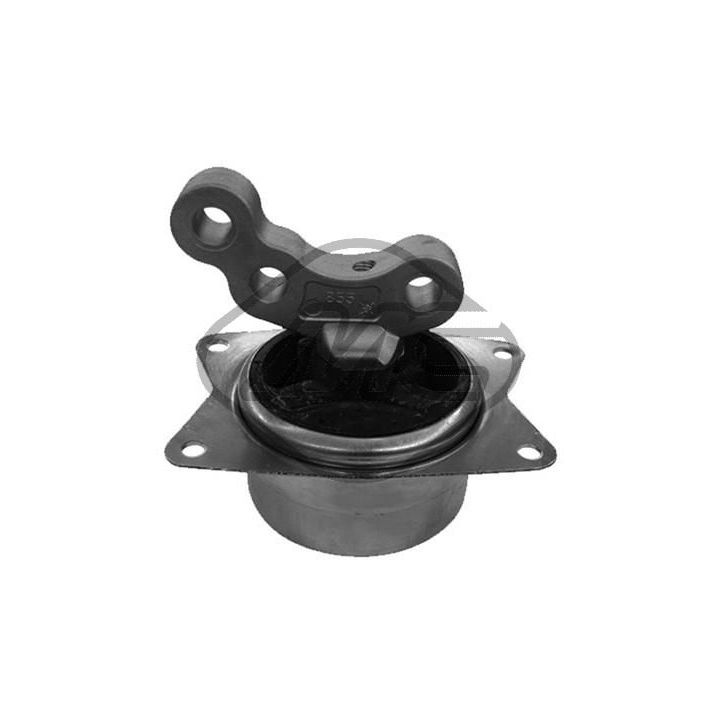 Variklio montavimas Metalcaucho 01019