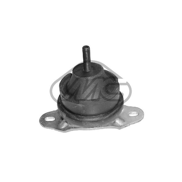 Variklio montavimas Metalcaucho 02942