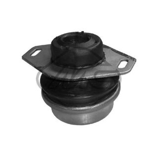 Variklio montavimas Metalcaucho 02943