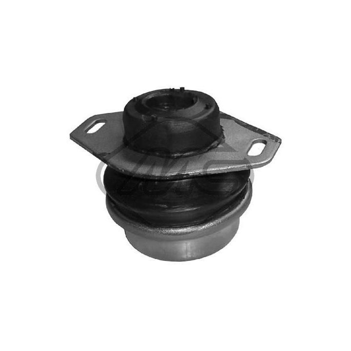 Variklio montavimas Metalcaucho 02943