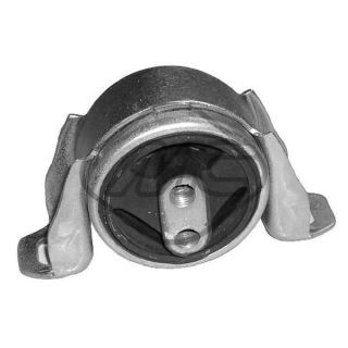 Variklio montavimas Metalcaucho 02994