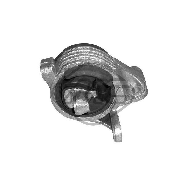 Variklio montavimas Metalcaucho 04001