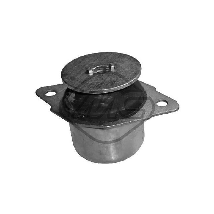 Variklio montavimas Metalcaucho 04362