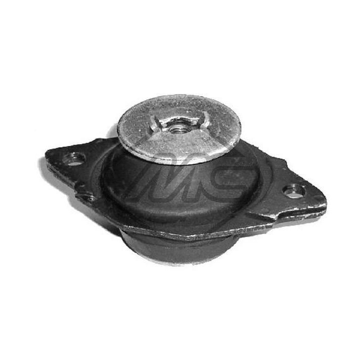 Variklio montavimas Metalcaucho 04366