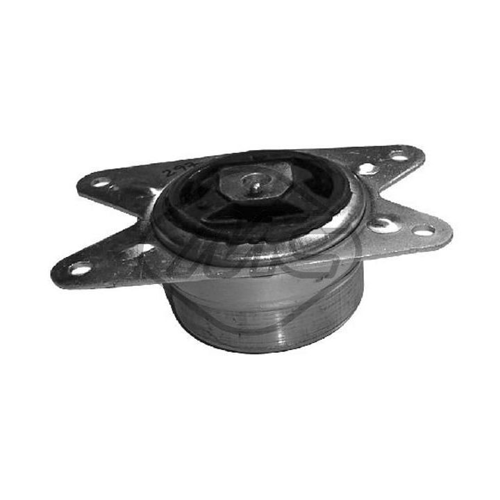 Variklio montavimas Metalcaucho 04393