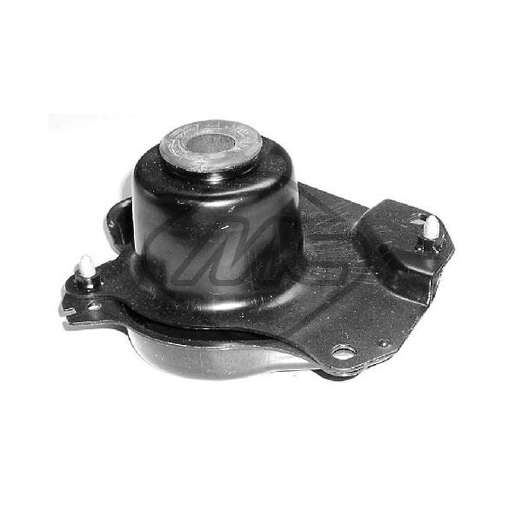 Variklio montavimas Metalcaucho 04415