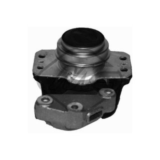 Variklio montavimas Metalcaucho 04436