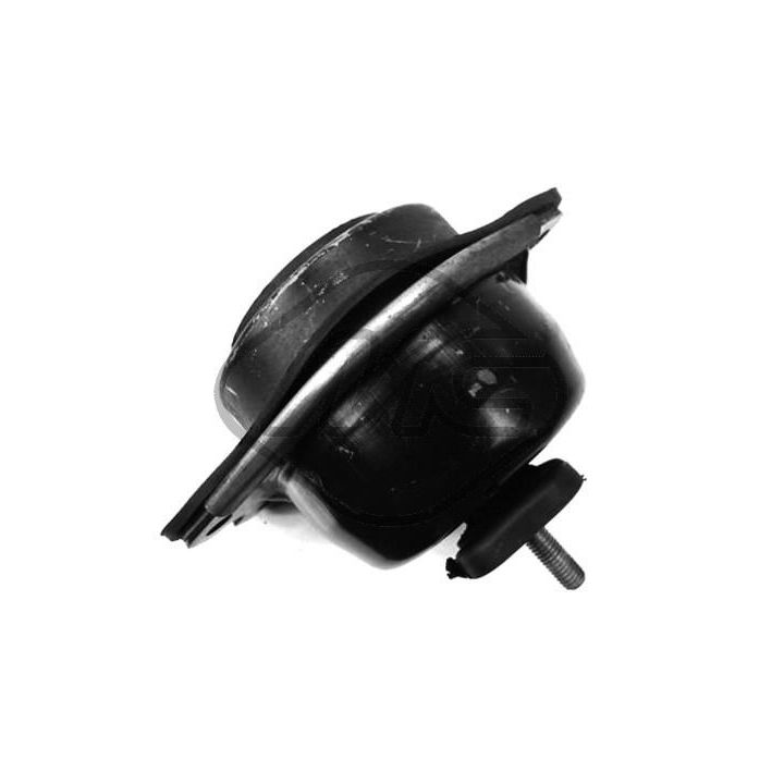 Variklio montavimas Metalcaucho 04461