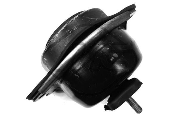 Variklio montavimas Metalcaucho 04461