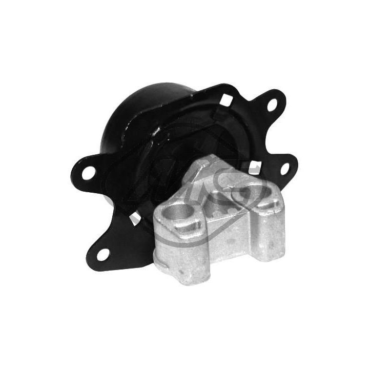 Variklio montavimas Metalcaucho 04684