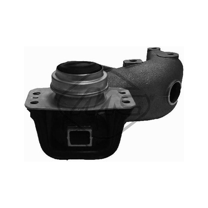 Variklio montavimas Metalcaucho 04742