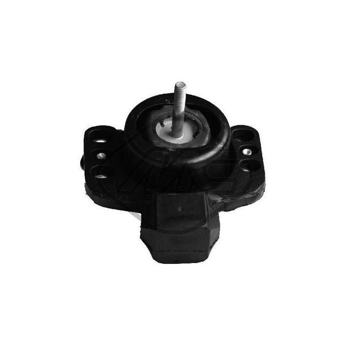 Variklio montavimas Metalcaucho 04776