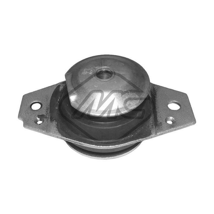 Variklio montavimas Metalcaucho 05079