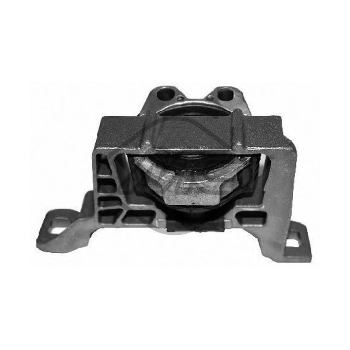 Variklio montavimas Metalcaucho 05278