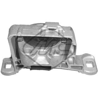 Variklio montavimas Metalcaucho 05281