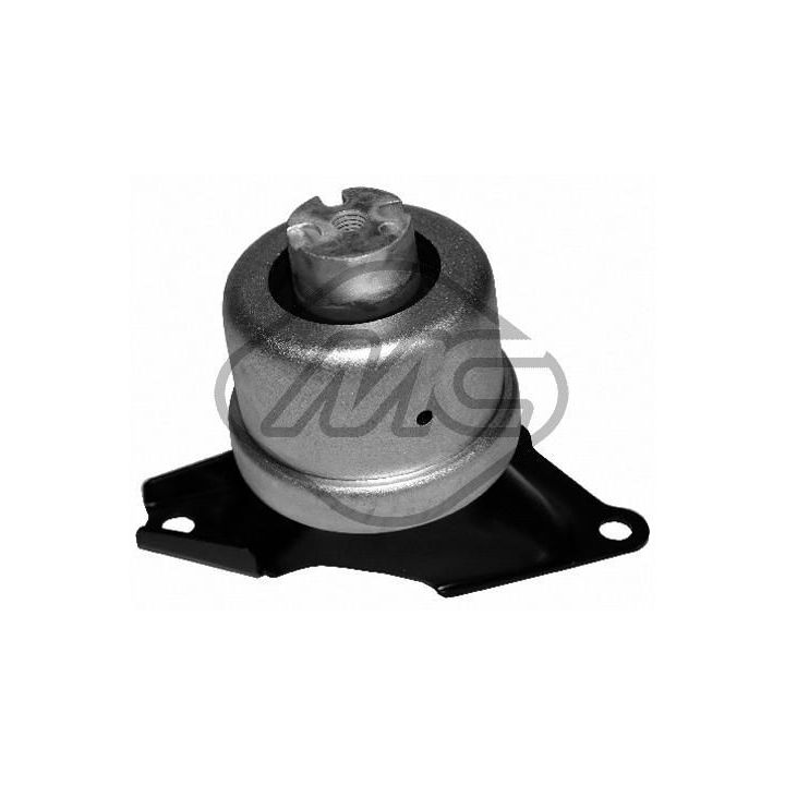 Variklio montavimas Metalcaucho 05443