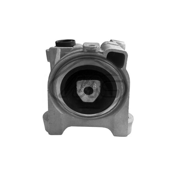 Variklio montavimas Metalcaucho 05573