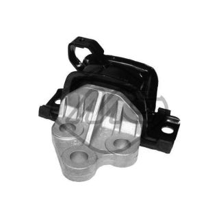 Variklio montavimas Metalcaucho 05597