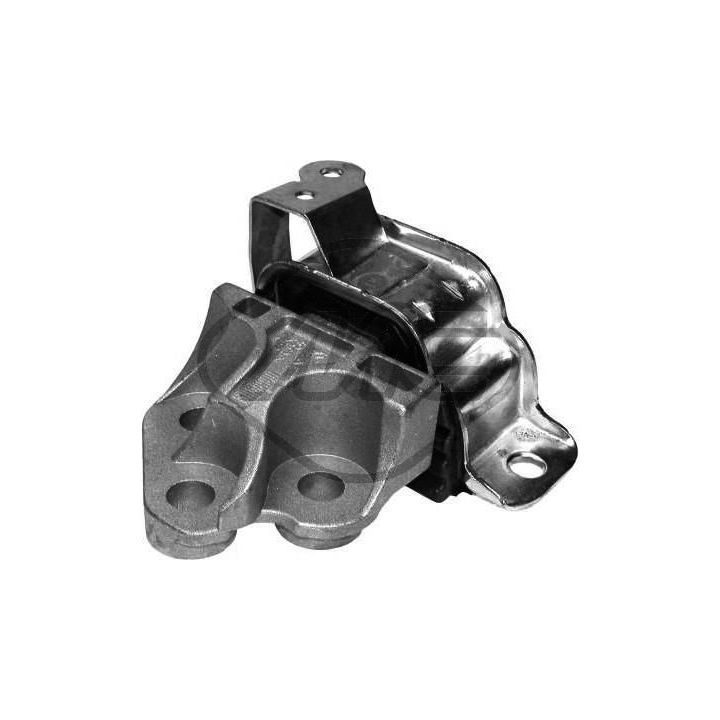 Variklio montavimas Metalcaucho 05598