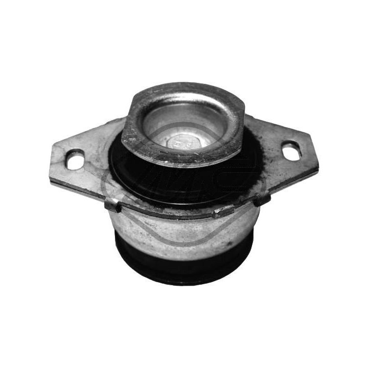 Variklio montavimas Metalcaucho 05610