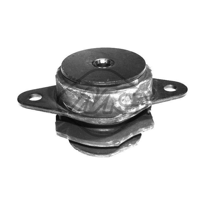 Variklio montavimas Metalcaucho 05617