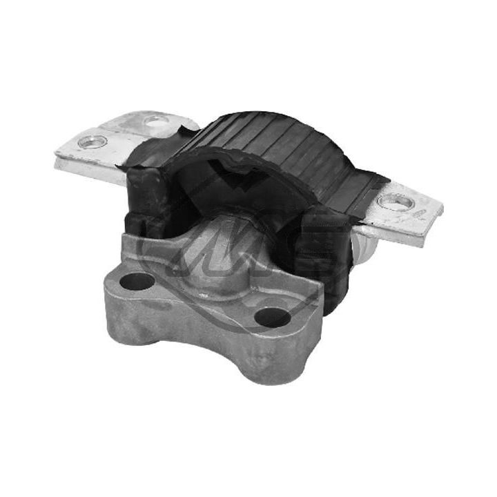 Variklio montavimas Metalcaucho 05680