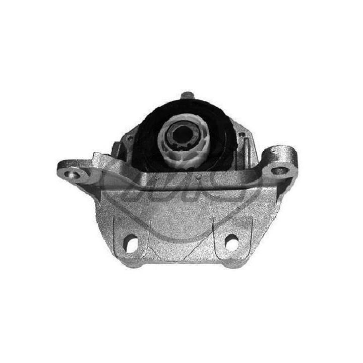 Variklio montavimas Metalcaucho 05713