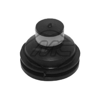 Variklio montavimas Metalcaucho 05784