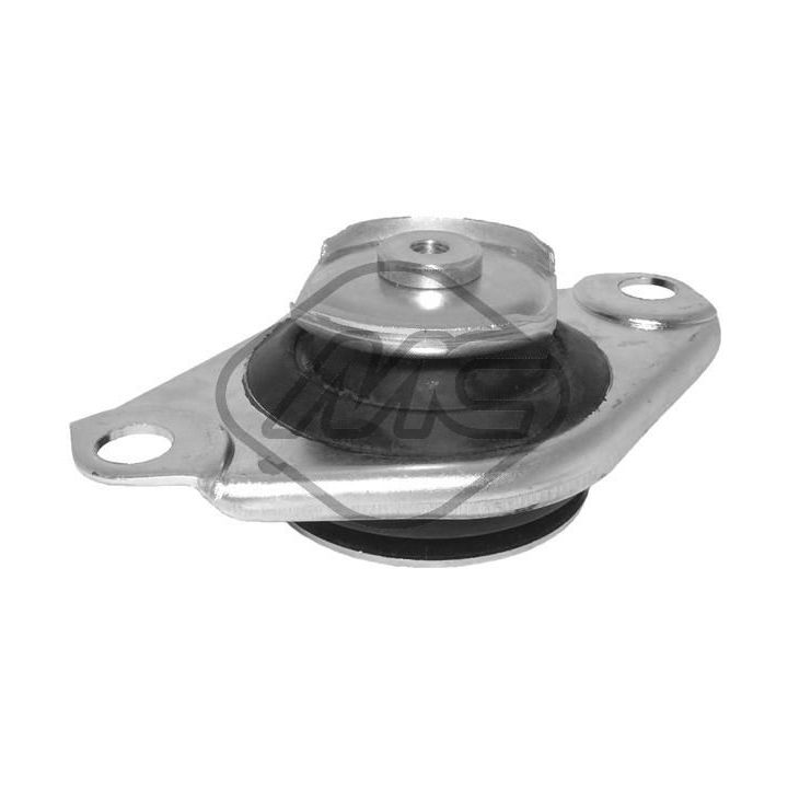 Variklio montavimas Metalcaucho 06516