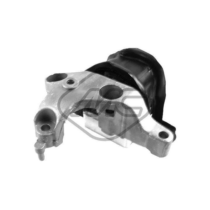 Variklio montavimas Metalcaucho 06812