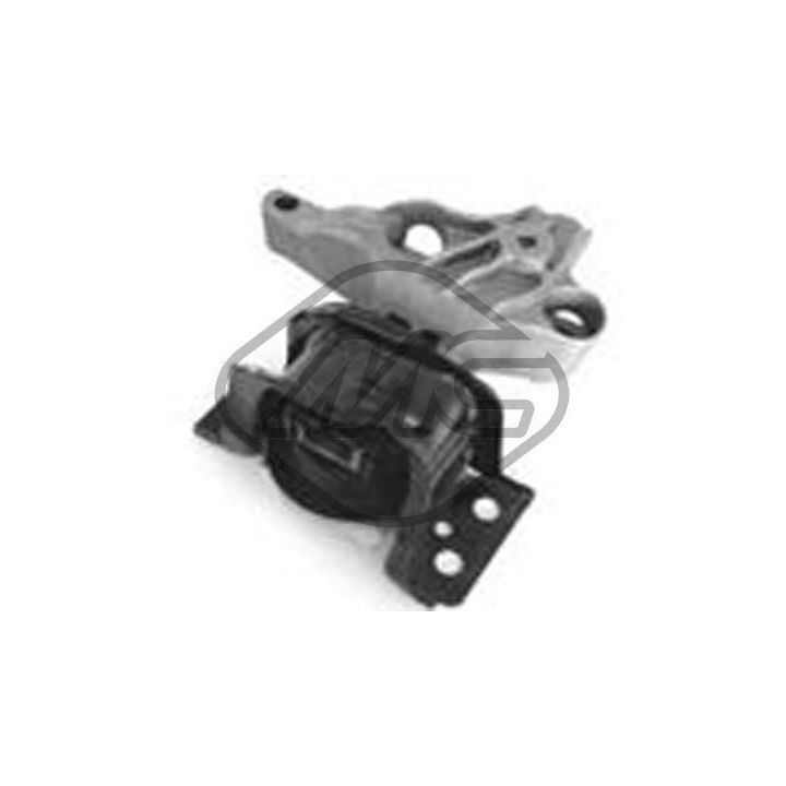 Variklio montavimas Metalcaucho 06814