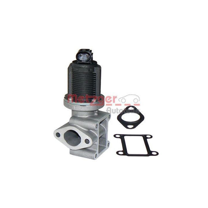 ERG vožtuvas METZGER 0892001