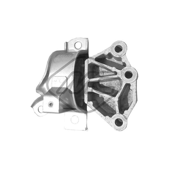 Variklio montavimas Metalcaucho 16064