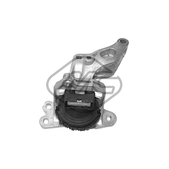 Variklio montavimas Metalcaucho 16290