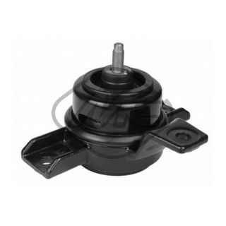 Variklio montavimas Metalcaucho 41629