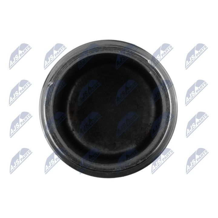 Stūmoklis, stabdžių apkaba NTY HTZ-TY-027