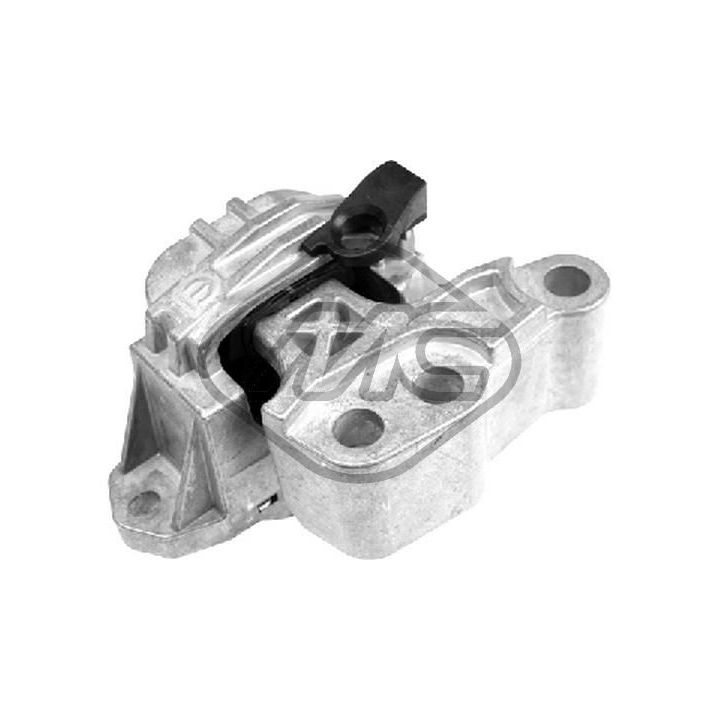 Variklio montavimas Metalcaucho 49118