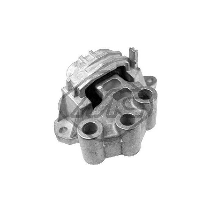 Variklio montavimas Metalcaucho 49121