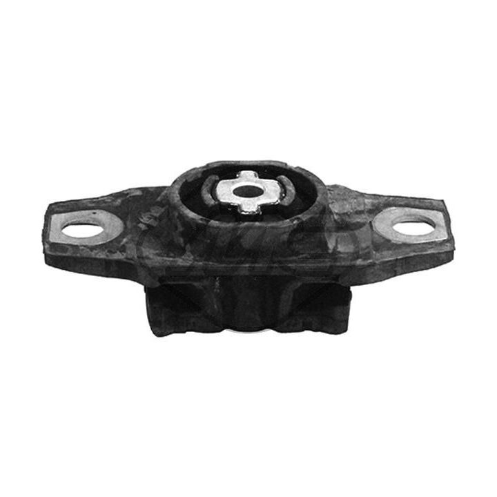 Variklio montavimas Metalcaucho 57058