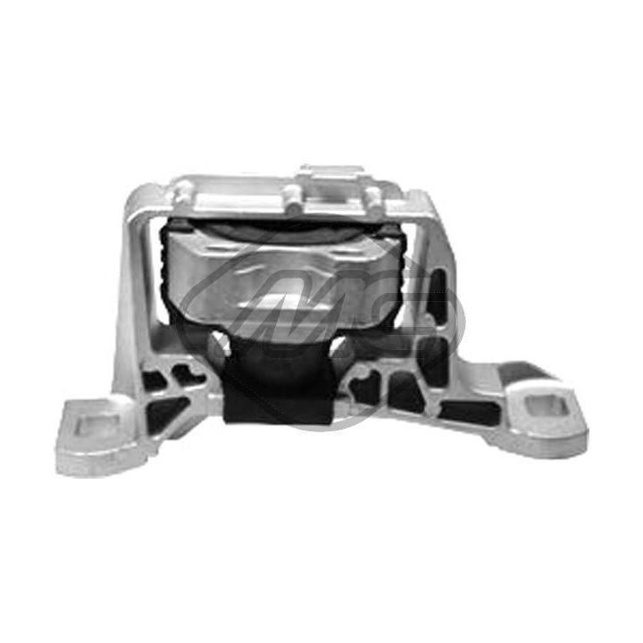 Variklio montavimas Metalcaucho 58517