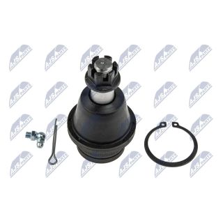 Šarnyras / girgždukas NTY ZSD-CH-010