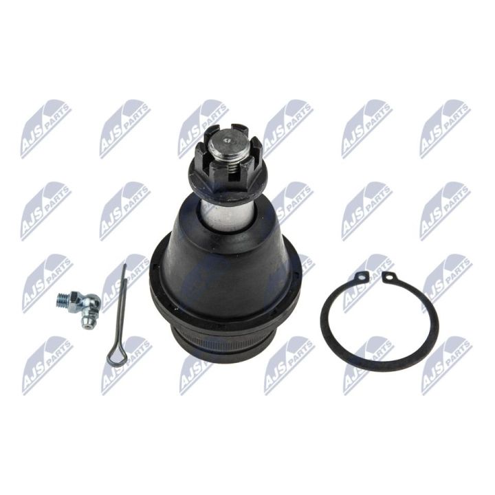 Šarnyras / girgždukas NTY ZSD-CH-010