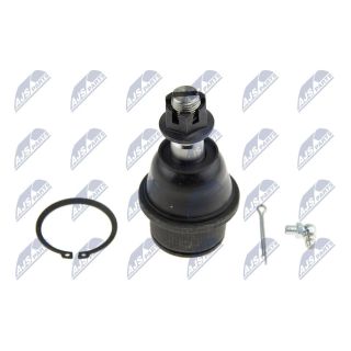 Šarnyras / girgždukas NTY ZSD-CH-012