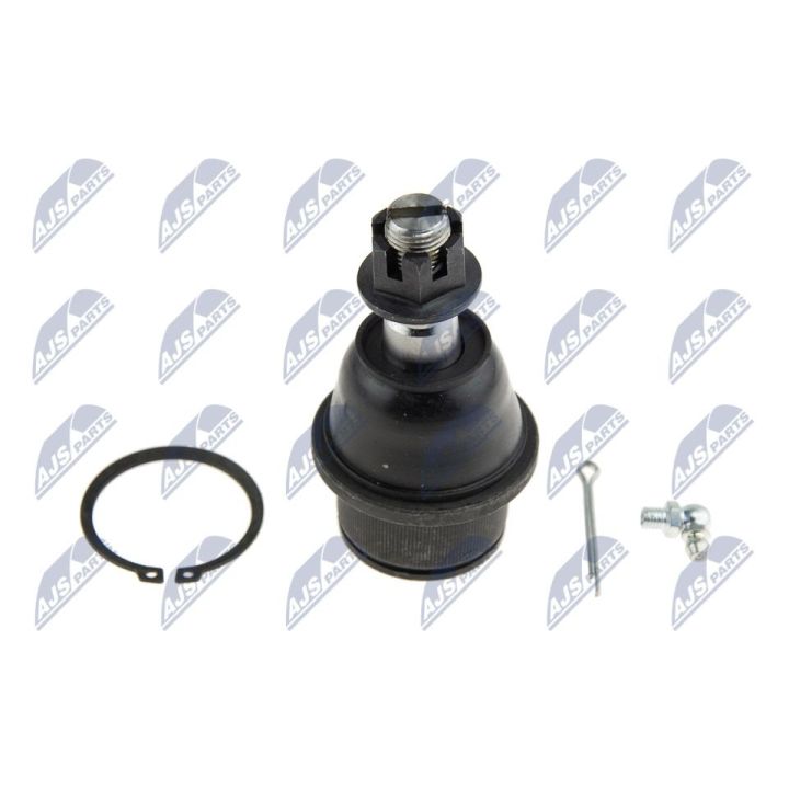 Šarnyras / girgždukas NTY ZSD-CH-012